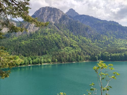 Alpsee Rundweg