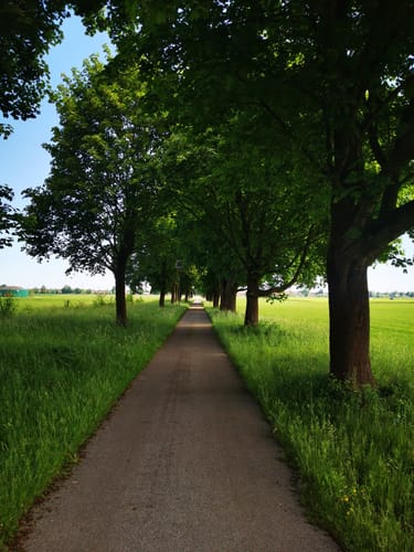 MTB Tour BF 19 - Bad Feilnbach