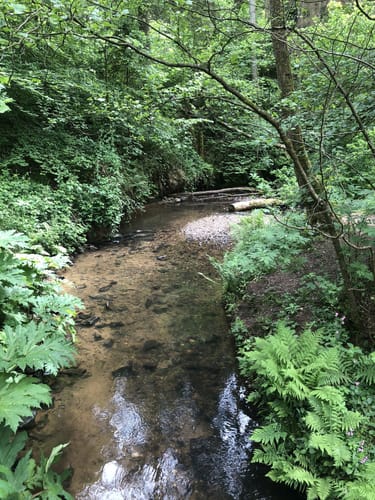 Rund um den Beckinger Wald