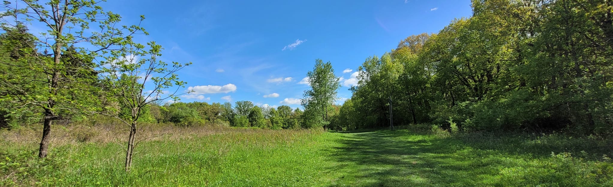 Kettle View and Meadow Trails Loop 288 Reviews, Map Wisconsin