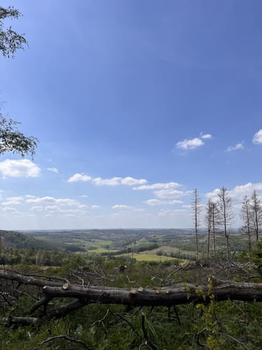 Nordhelle und Südhangweg