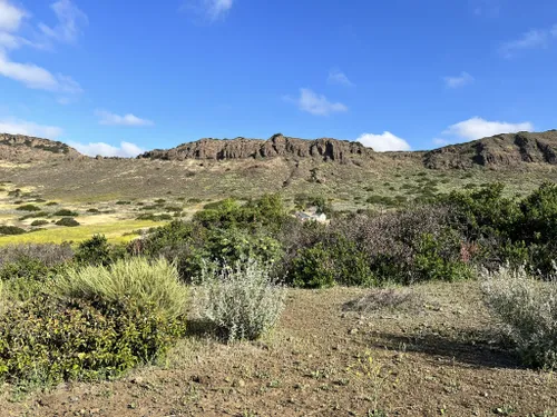 Paradise Falls Hike - Wildwood Park in Thousand Oaks — Conejo Valley Guide