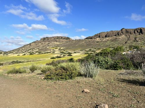 Paradise Falls and Wildwood Regional Park