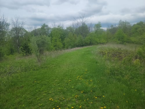 Best 10 Hikes and Trails in Kettle - EyJidWNrZXQiOiJhc3NldHMuYWxsdHJhaWxzLmNvbSIsImtleSI6InVwbG9hZHMvcGhvdG8vaW1hZ2UvNDc0NzEzODUvODcwYjZjMjBiZjkwNjcyZjFlOGI1YTQ3YzE2YWQwZGUuanBnIiwiZWRpdHMiOnsidG9Gb3JtYXQiOiJqcGVnIiwicmVzaXplIjp7IndpZHRoIjo1MDAsImhlaWdodCI6NTAwLCJmaXQiOiJpbnNpZGUifSwicm90YXRlIjpudWxsLCJqcGVnIjp7InRyZWxsaXNRdWFudGlzYXRpb24iOnRydWUsIm92ZXJzaG9vdERlcmluZ2luZyI6dHJ1ZSwib3B0aW1pc2VTY2FucyI6dHJ1ZSwicXVhbnRpc2F0aW9uVGFibGUiOjN9fX0=