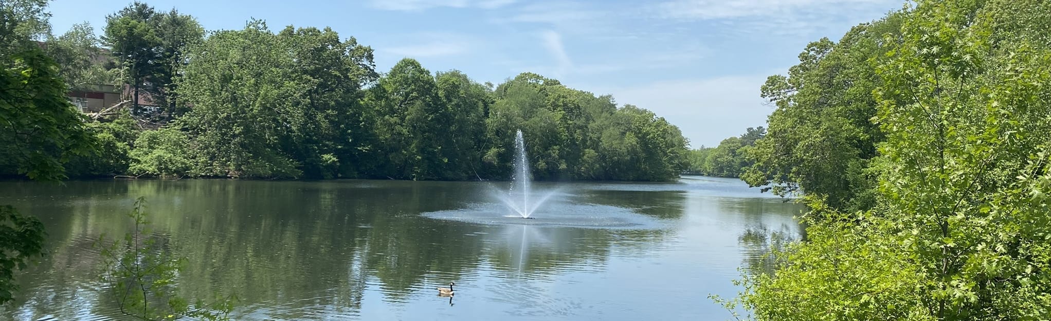 Roger Williams Pond Trail 782 Reviews, Map Rhode Island AllTrails