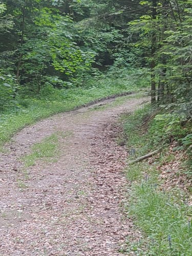 Althütte Rundwanderweg 2