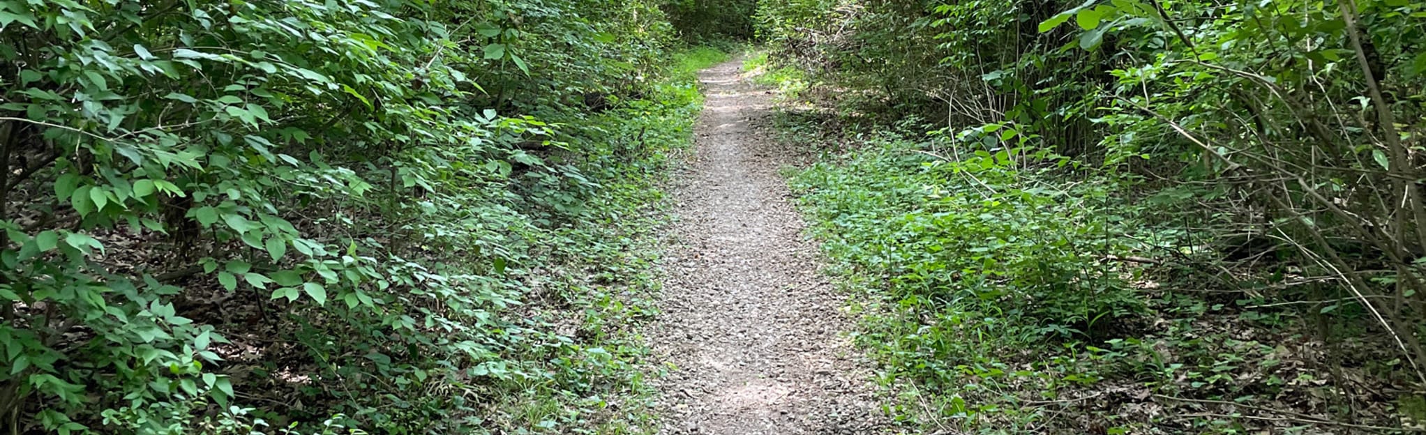 Concord Quarry Trail 383 Reviews, Map Tennessee AllTrails