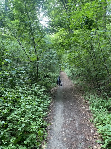 Rundweg O Gysenberg