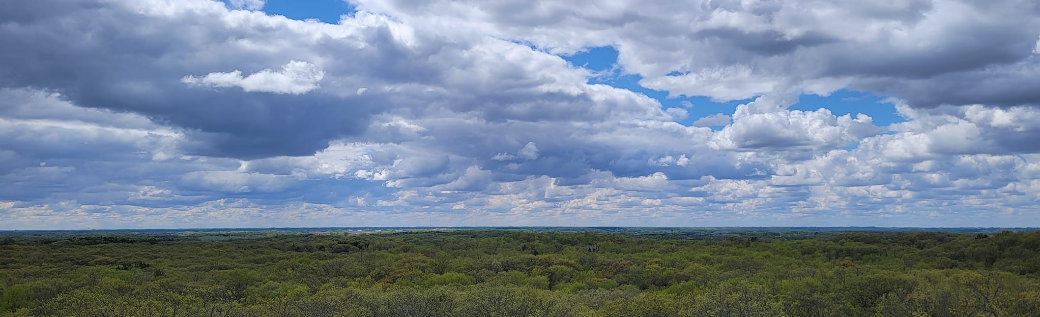 Mount Tom Trail 417 Reviews, Map Minnesota AllTrails