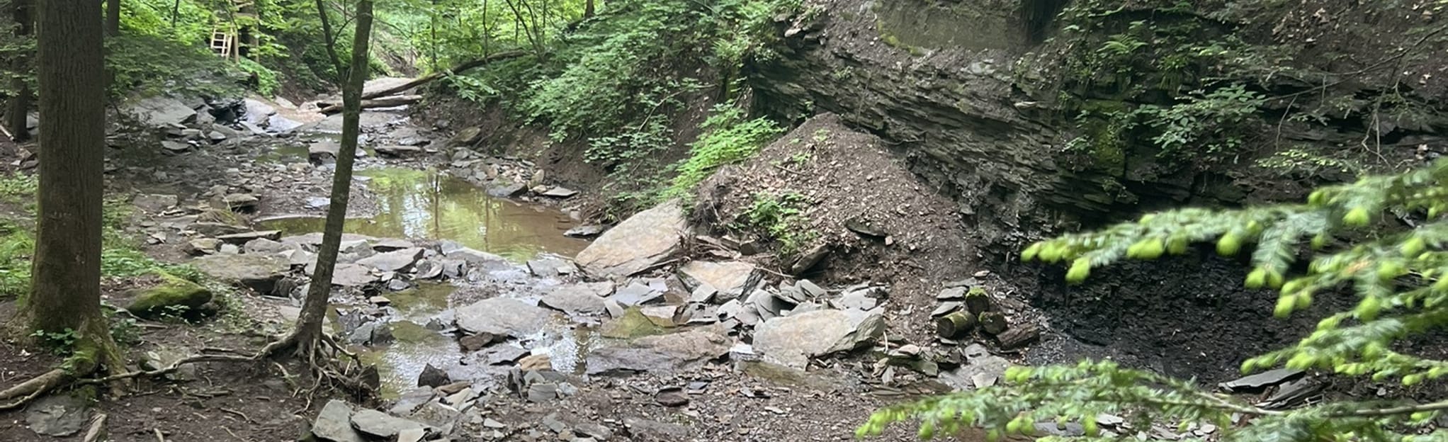 Piatt Park Trail, Ohio 148 Reviews, Map AllTrails