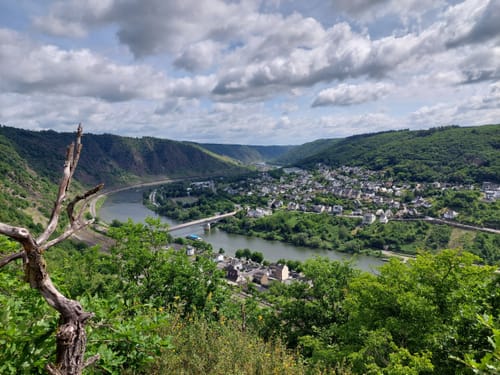 Cochemer Ritterrunde (Moselsteig Seitensprung)