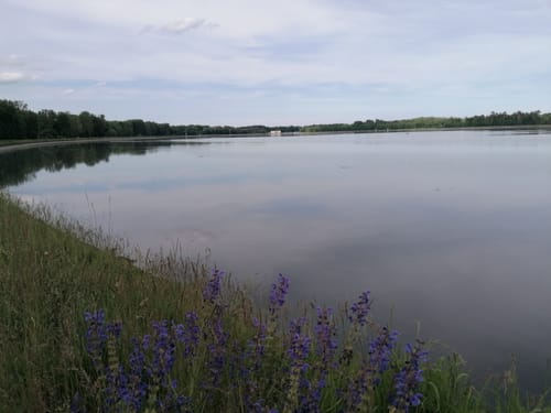Auf dem Donau-Damm
