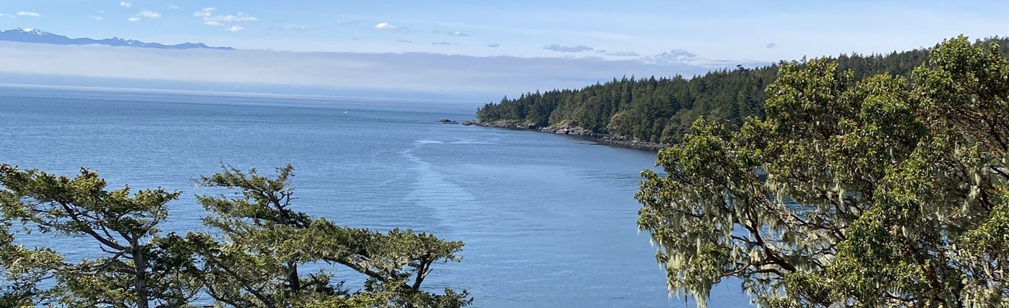 Creyke Point and Squeaky Point via Coast Trail: 146 Reviews, Map ...