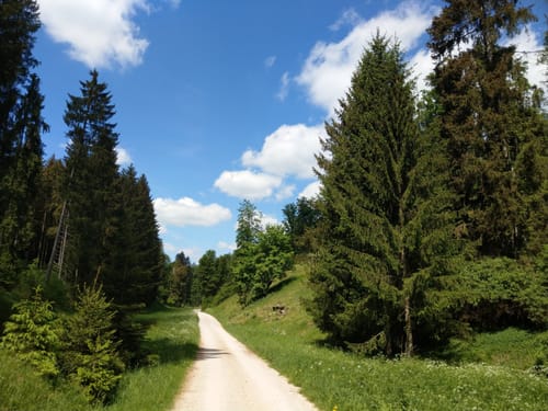 Kaisingerweg (Nr. 5)