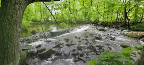 French Creek State Park Hiking Best 10 Trails In French Creek State Park | Alltrails