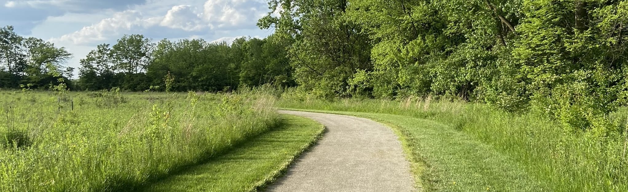 Mingo Trail, Ohio 465 Reviews, Map AllTrails