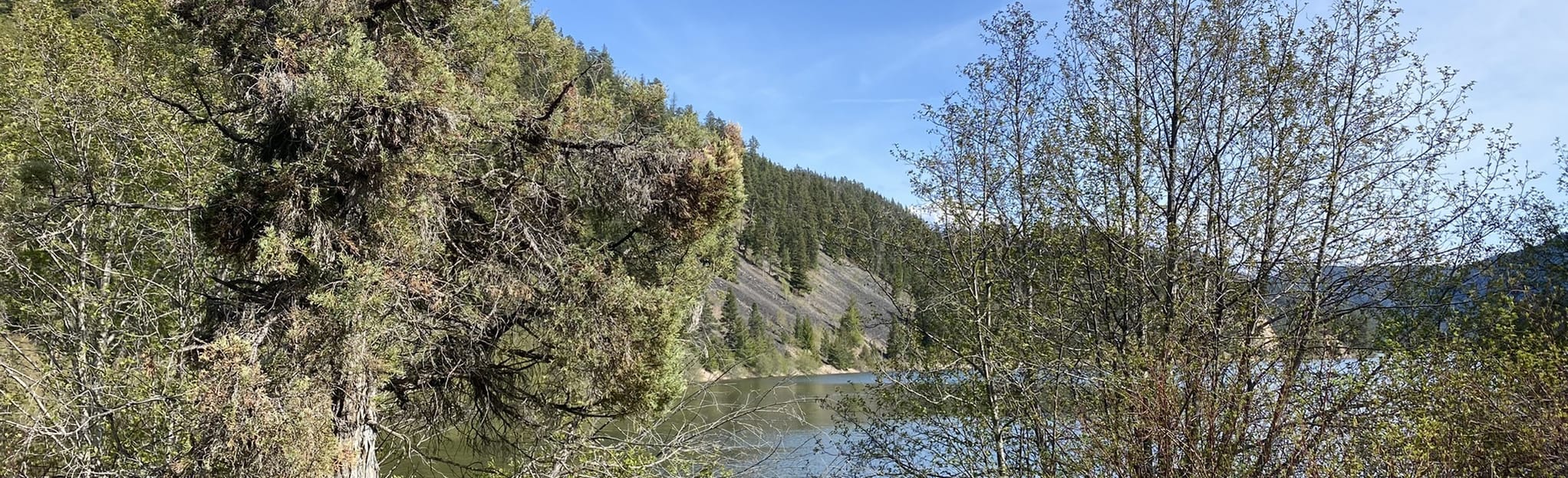 Otter Lake Park Trail - British Columbia, Canada | AllTrails