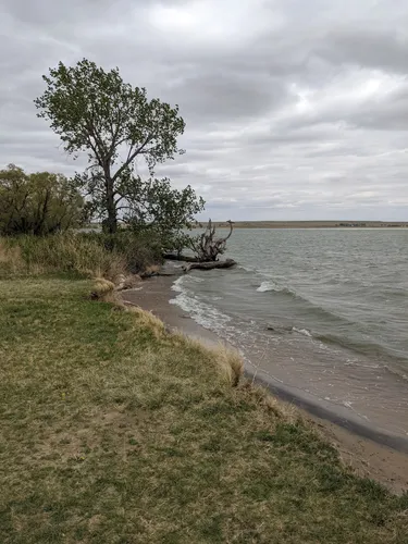 Jackson lake store state park