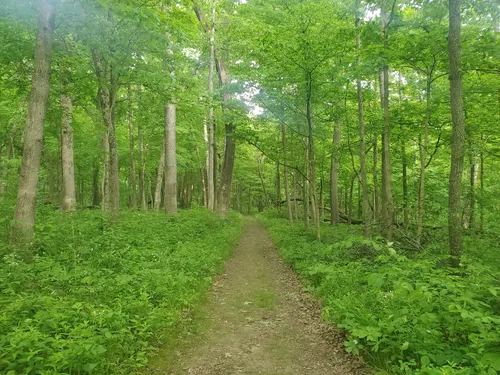 10 Best Hikes and Trails in Robert Allerton Park | AllTrails
