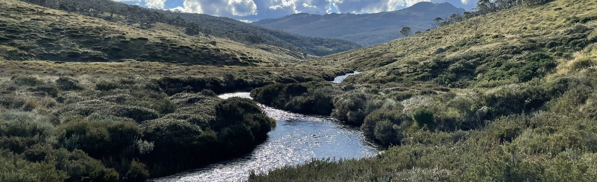 Pilot Wilderness Mountain Bike Ride (Alpine Way to Barry Way), New