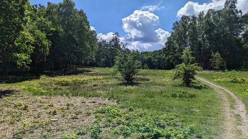 Blankanese - Waldpark Marienhöhe - Tafelberg