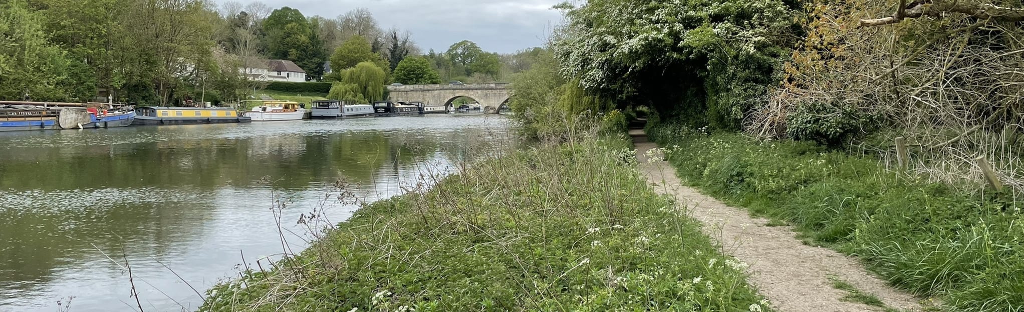 Appleford to Cholsey Walking Tour Along the Thames, Oxfordshire