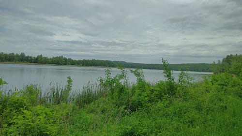 Um den Knappensee und Steinberger See