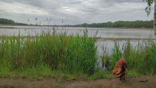 Um den Knappensee und Steinberger See