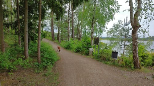Um den Knappensee und Steinberger See