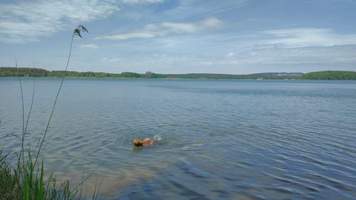 Um den Knappensee und Steinberger See