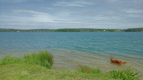 Um den Knappensee und Steinberger See
