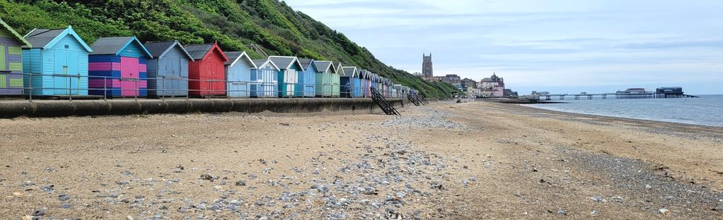 is cromer beach dog friendly