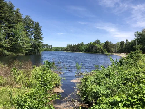 10 Best Trails and Hikes in Westborough | AllTrails