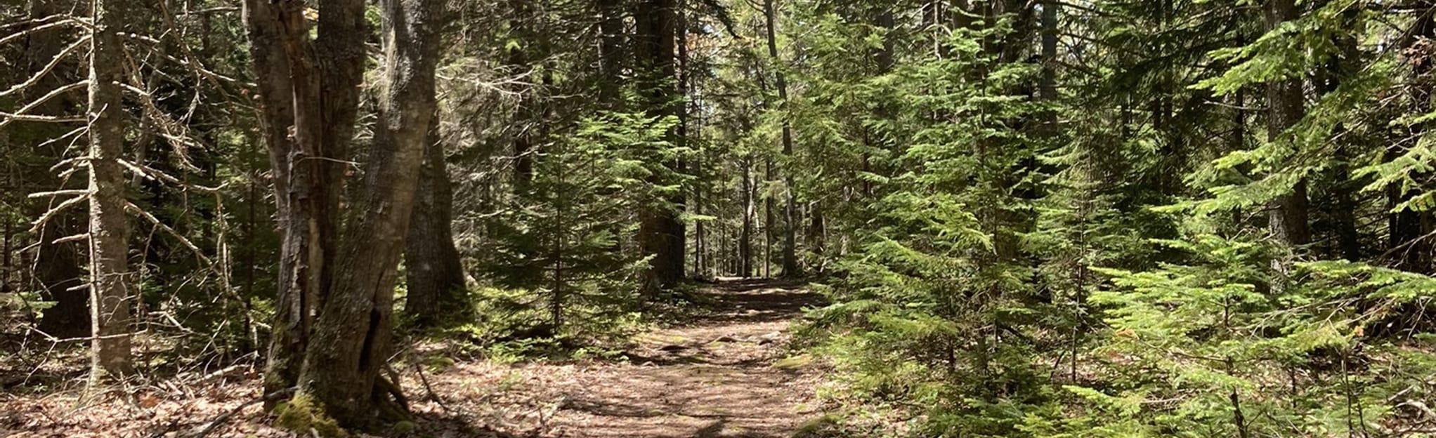 Perkins Farm Trail Maine AllTrails