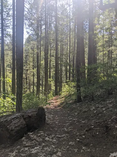 Best Hikes and Trails in Illinois River Forks State Park AllTrails