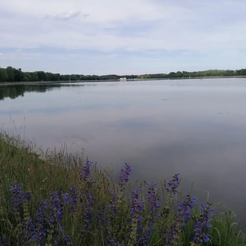 Römische Ruinen und Donauufer