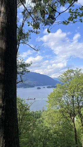 10 Best Hikes And Trails In Burnaby Mountain Conservation Area | AllTrails