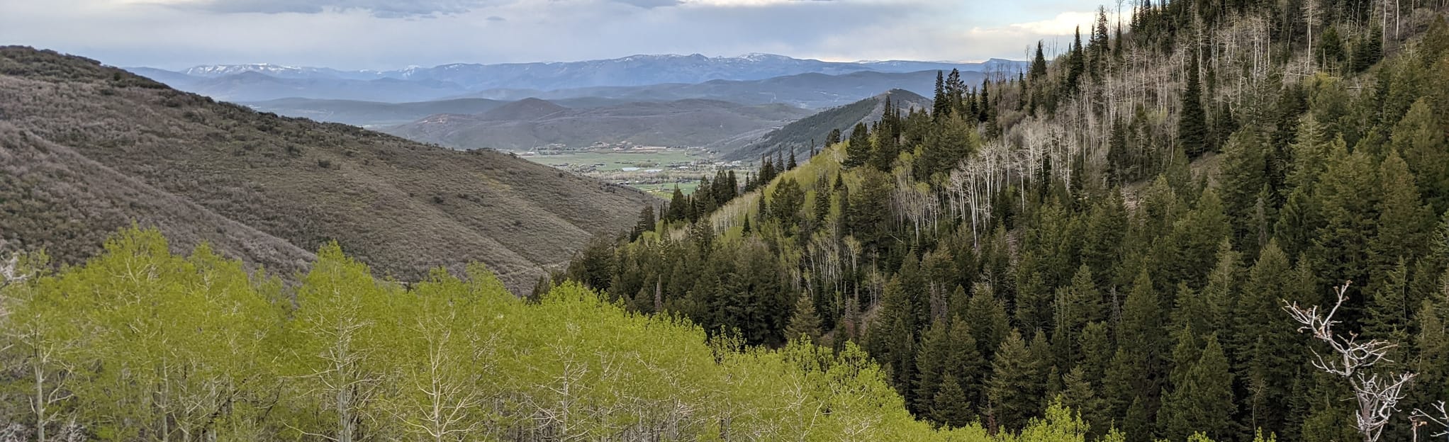 Holly's Trail 599 Reviews, Map Utah AllTrails