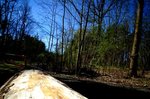 Havelland-Radweg (Radfernweg)