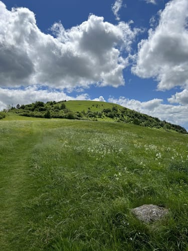 Hohlestein - Hoher Dörnberg - Helfensteine