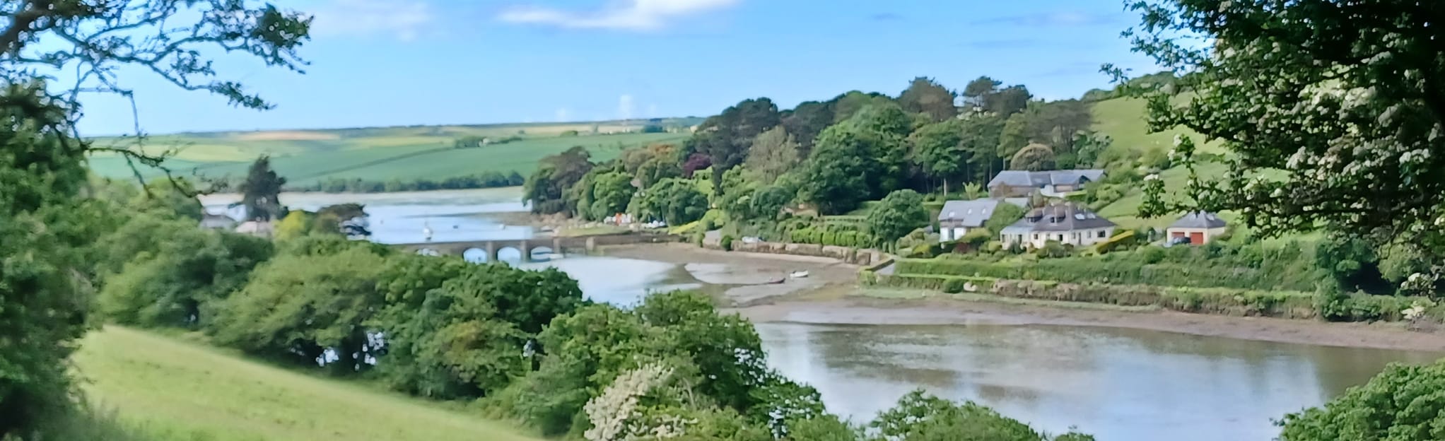 Kingsbridge to Frogmore Circular, Devon, England 26 Reviews, Map AllTrails