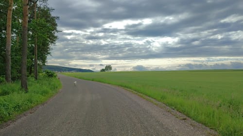 Charlottenhofer Weihergebiet ab Fronberg