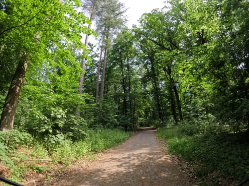 Von der Oststadt durch den Hardtwald