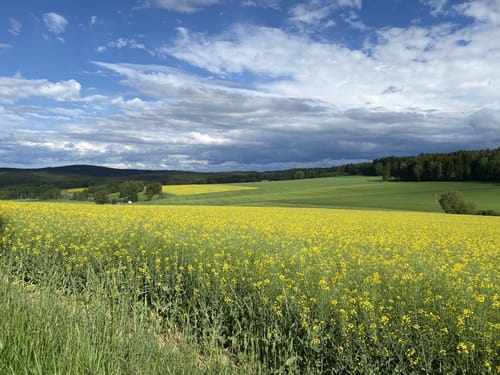 Von Bad Brambach nach Sohl