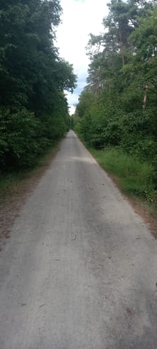 Rundwanderweg Lampertheim Lorscher Weg 4: Oberjägermeister-Weg