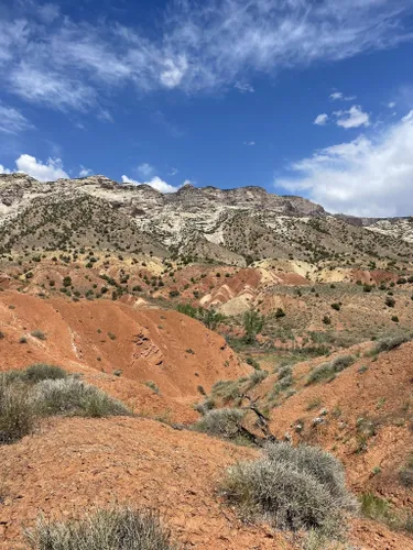 Best hikes in 2025 dinosaur national monument