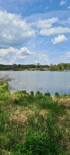 Um den Nieder-Mooser Teich
