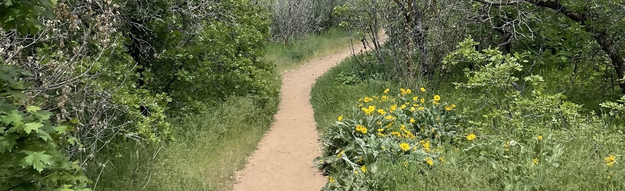 Maple Canyon to Whiting Campground 164 Reviews, Map Utah AllTrails