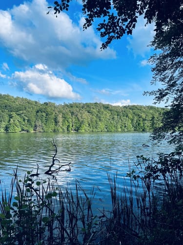 Rund um den Kalksee