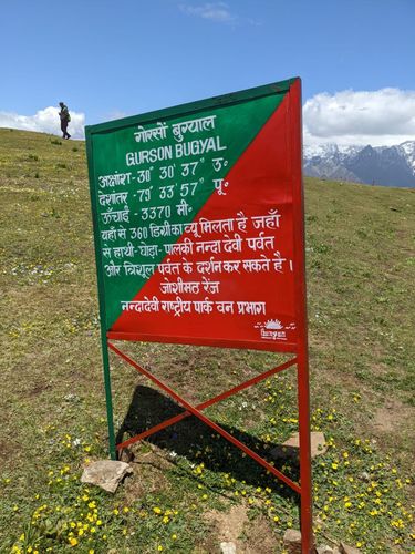 2023 Best 10 Trails in Nanda Devi National Park | AllTrails